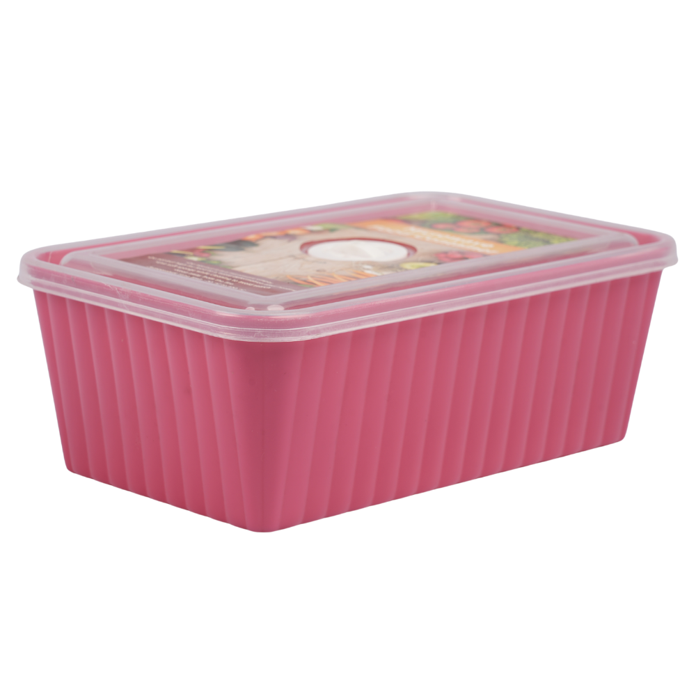 MICROWAVE SAFE FOOD CONTAINER WITH DATE INDICATOR-HSP-10A33
