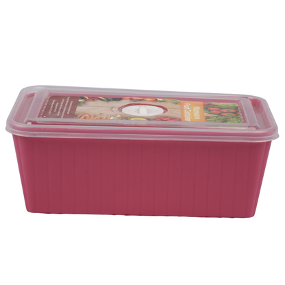 MICROWAVE SAFE FOOD CONTAINER WITH DATE INDICATOR-HSP-10A33