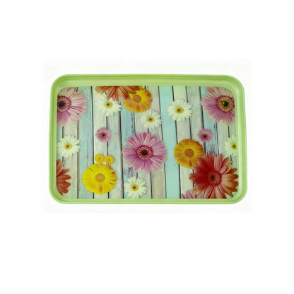 PLASTIC TRAY -HSP -26A16